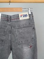 Класичні сірі джисни