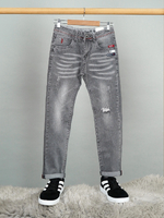 Класичні сірі джисни